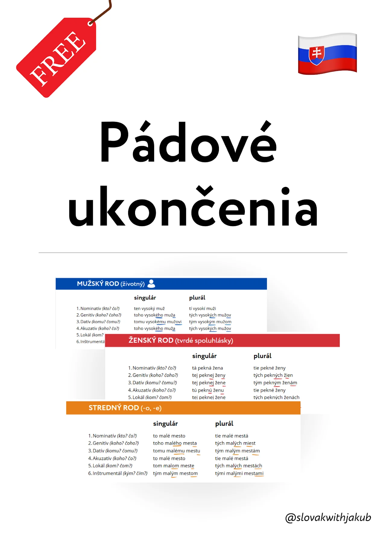 Pádové ukončenia v slovenčine